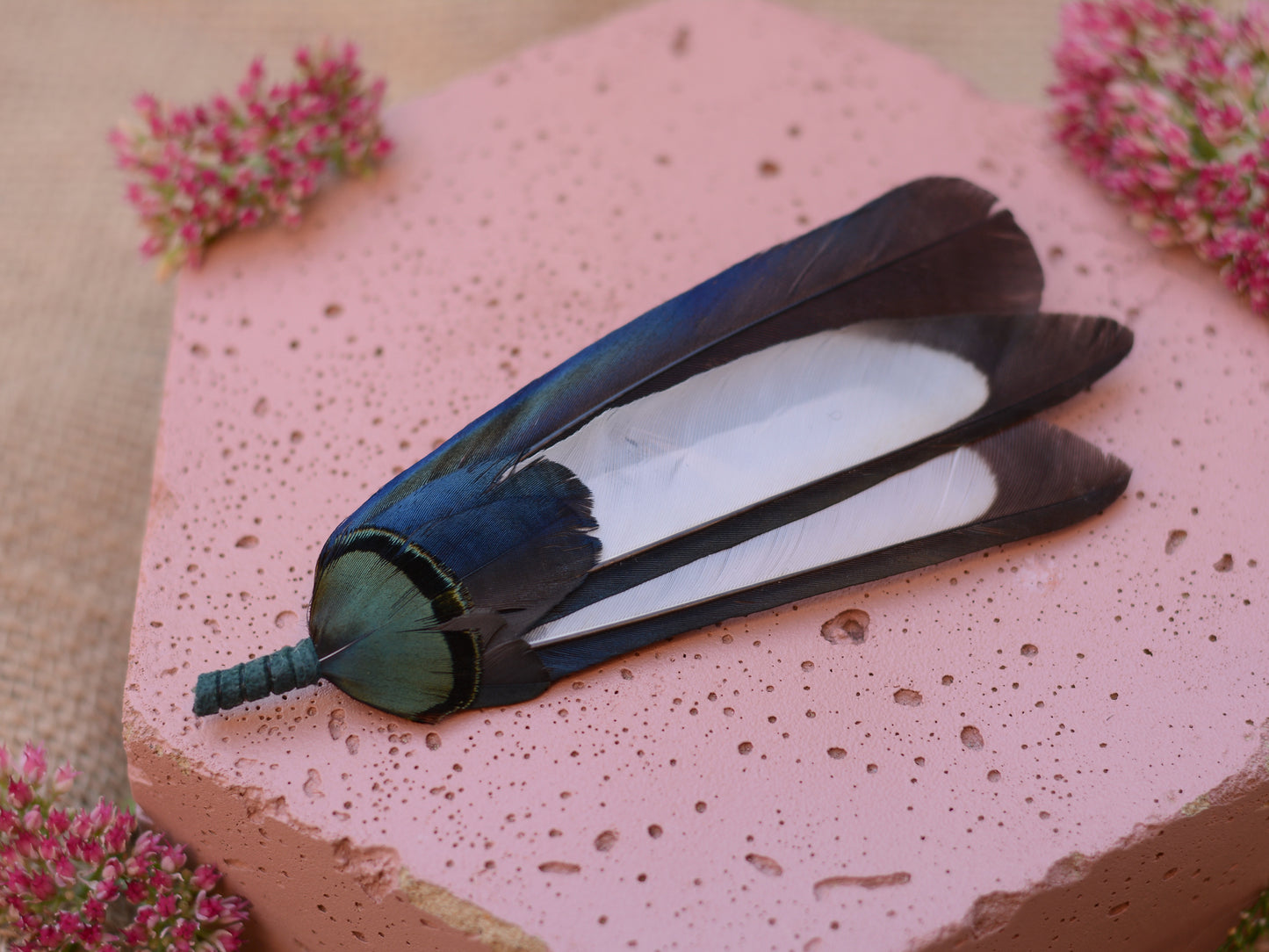Magpie Feather Monochrome Brooch Pin No.6