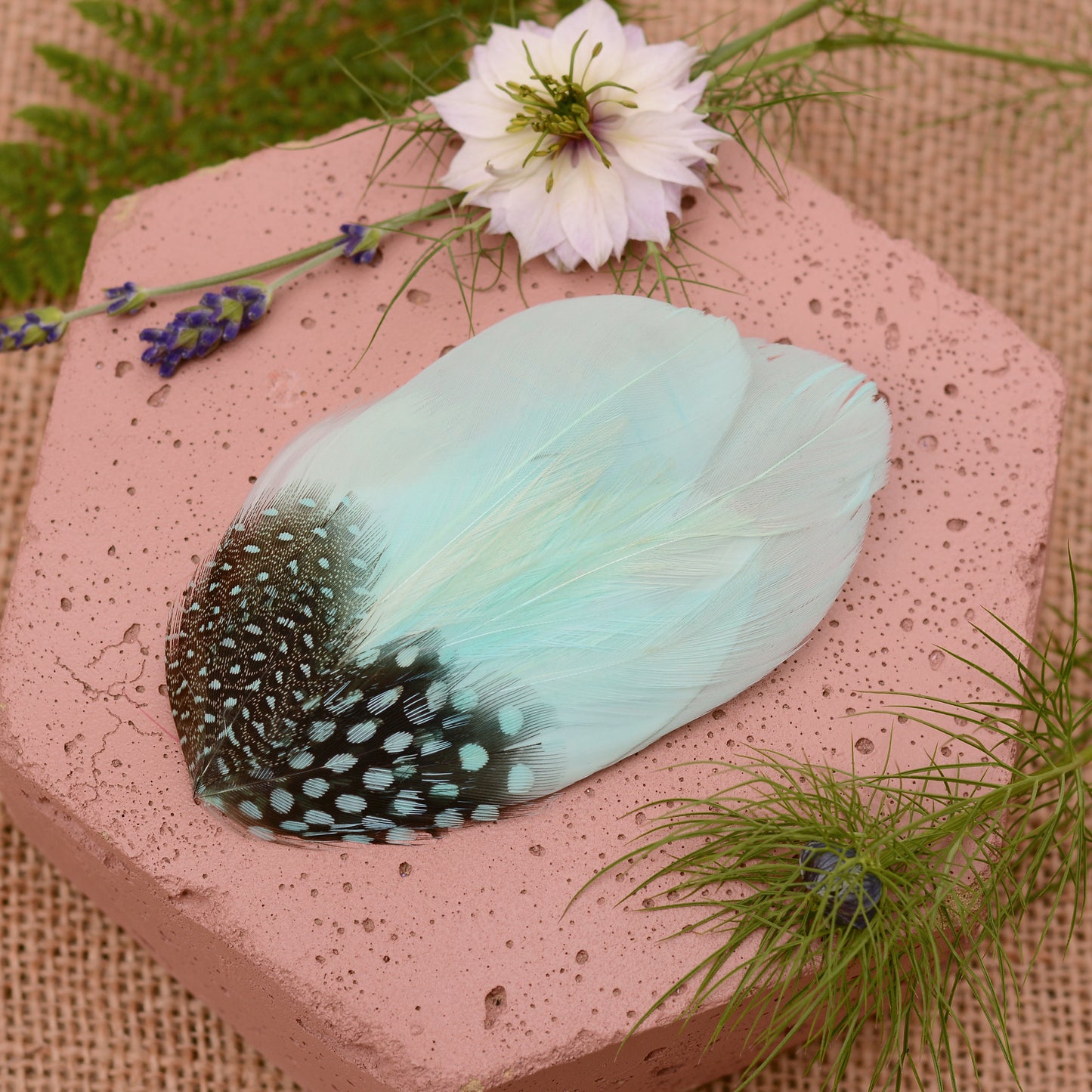 Mint green feather hair clip on a pink stone with flowers and plants around