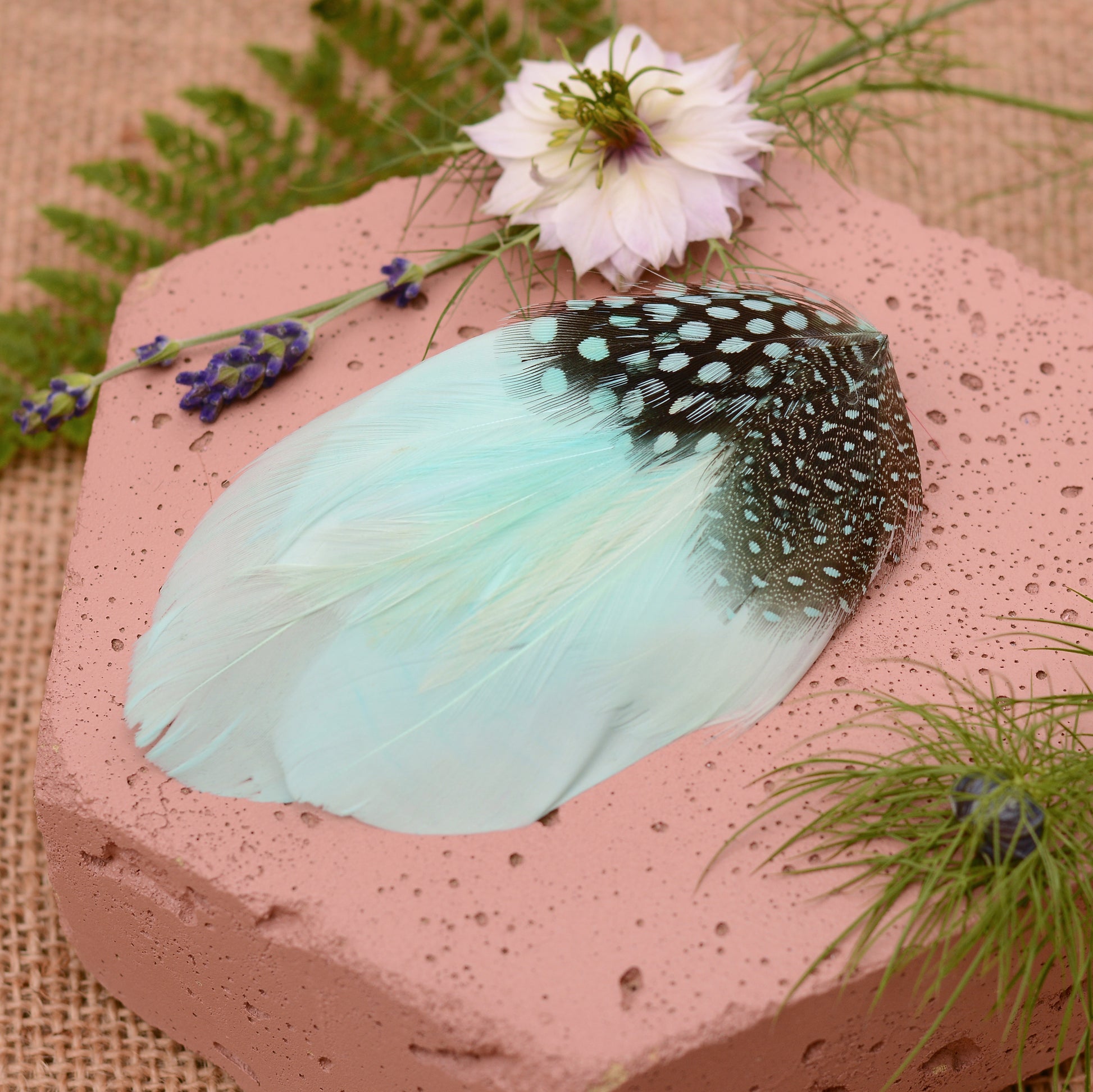 Mint green feather hair clip on a pink stone with flowers and plants around