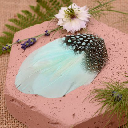 Mint green feather hair clip on a pink stone with flowers and plants around