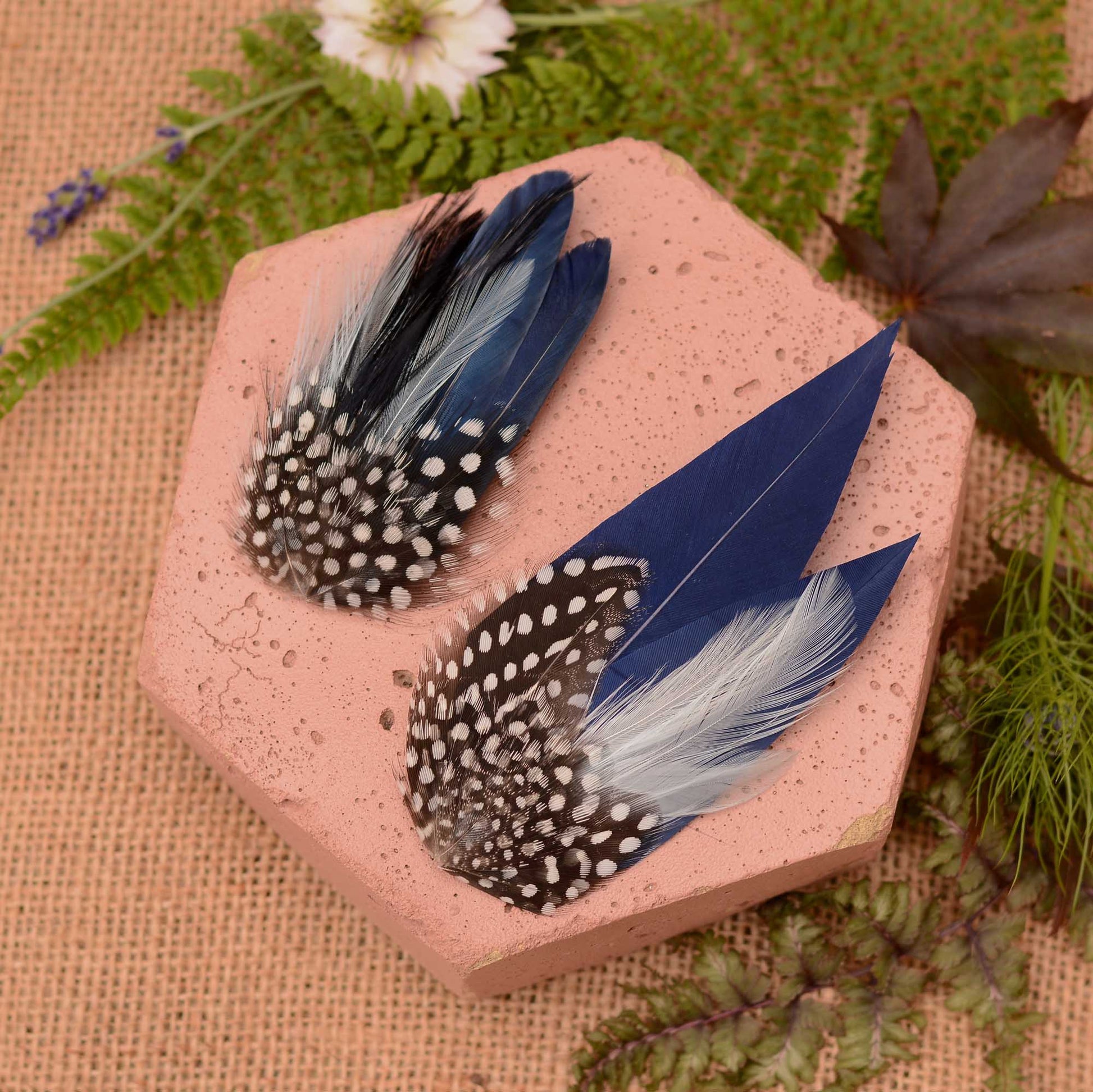 Navy blue feather hair clips with polka dot spotted guinea fowl feathers on a pink stone surrounded by greenery