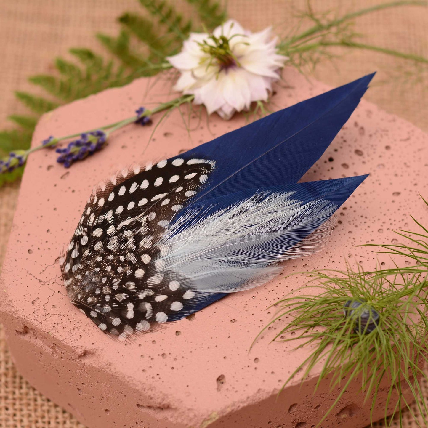 Navy blue feather hair clip with polka dot spotted guinea fowl feathers on a pink stone surrounded by greenery