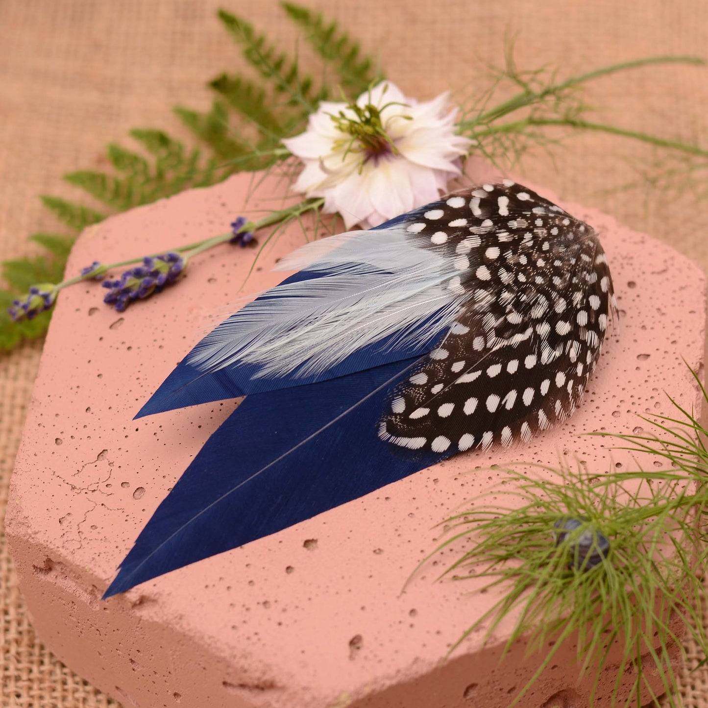 Navy blue feather hair clip with polka dot spotted guinea fowl feathers on a pink stone surrounded by greenery