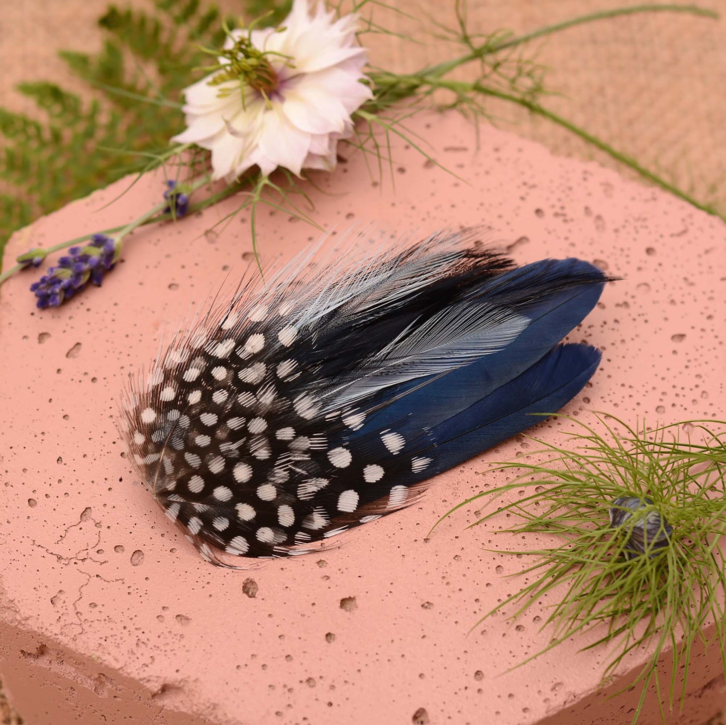 Navy blue feather hair clip with polka dot spotted guinea fowl feathers on a pink stone surrounded by greenery