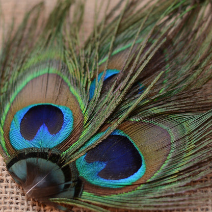 Peacock Eye Trio Feather Hair Clip