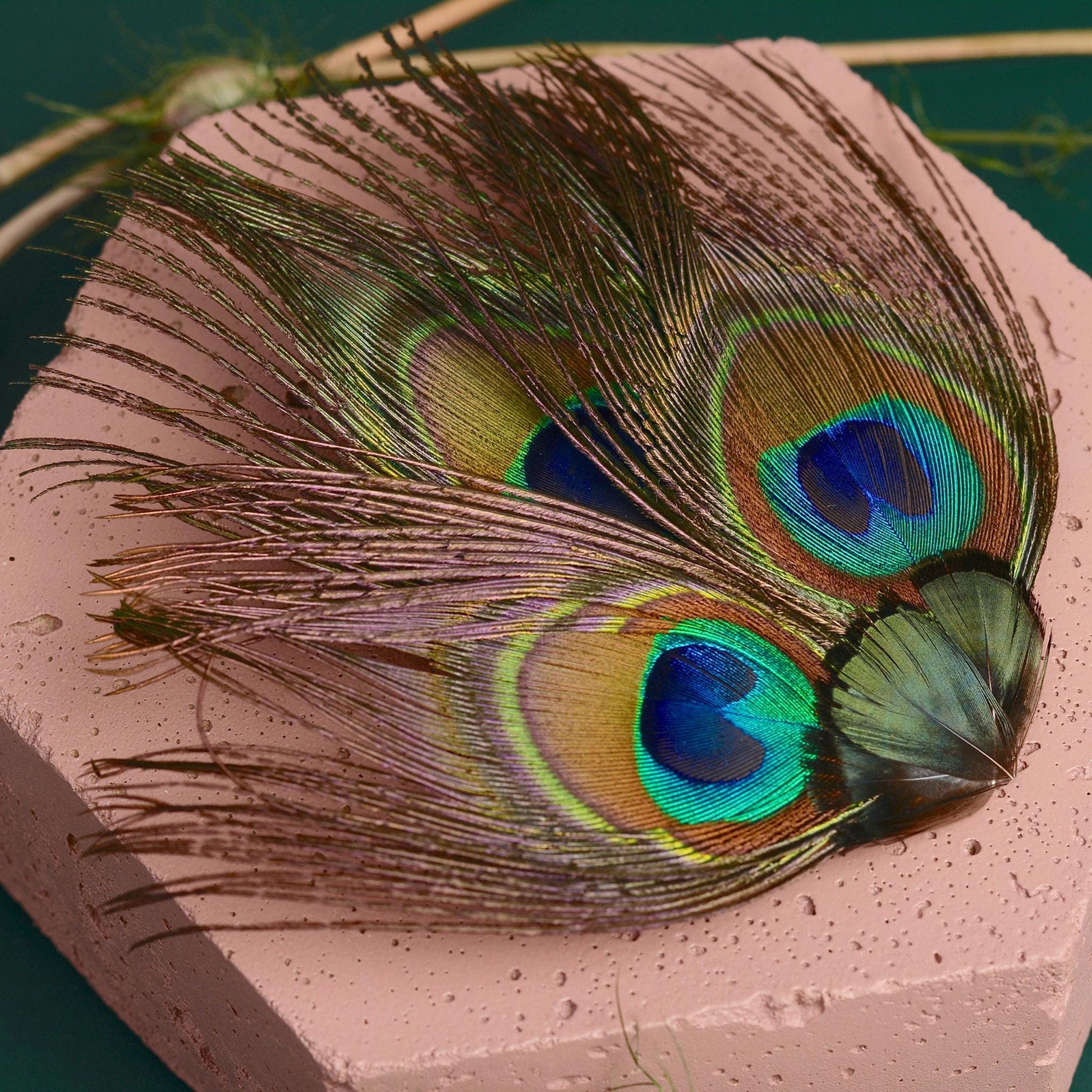 Peacock Feather Hair Clip | Peacock Feather Fascinator | Peacock Feather Headpiece | Wedding Fascinator | Green Feather Fascinator
