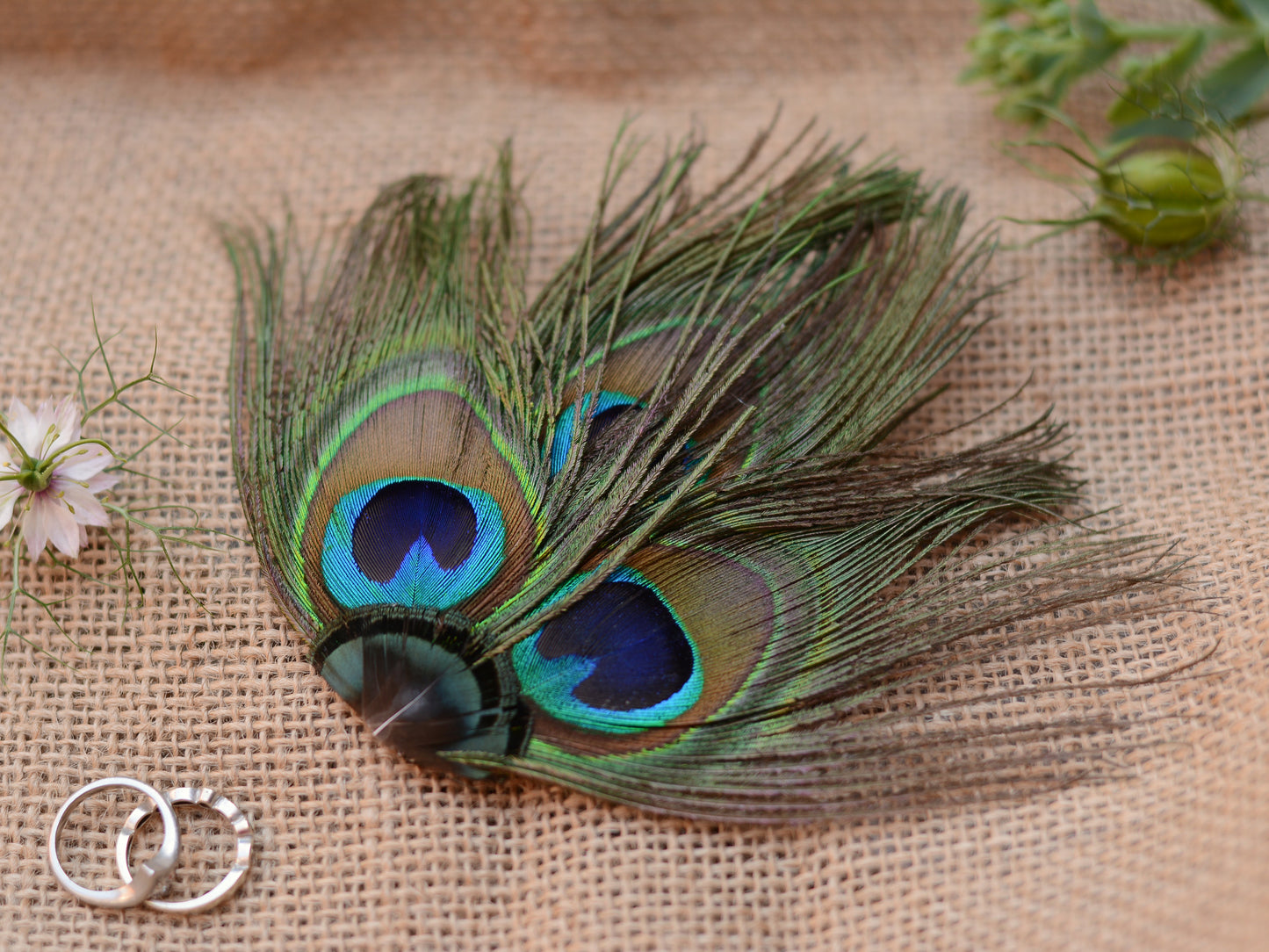 Peacock Eye Trio Feather Hair Clip