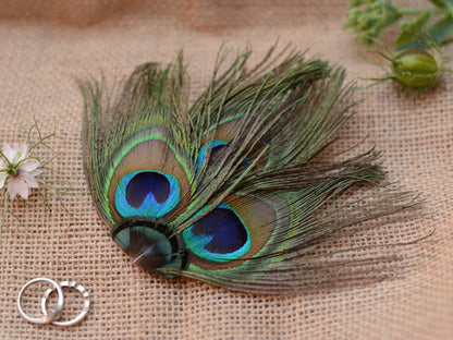 Peacock Eye Trio Feather Hair Clip