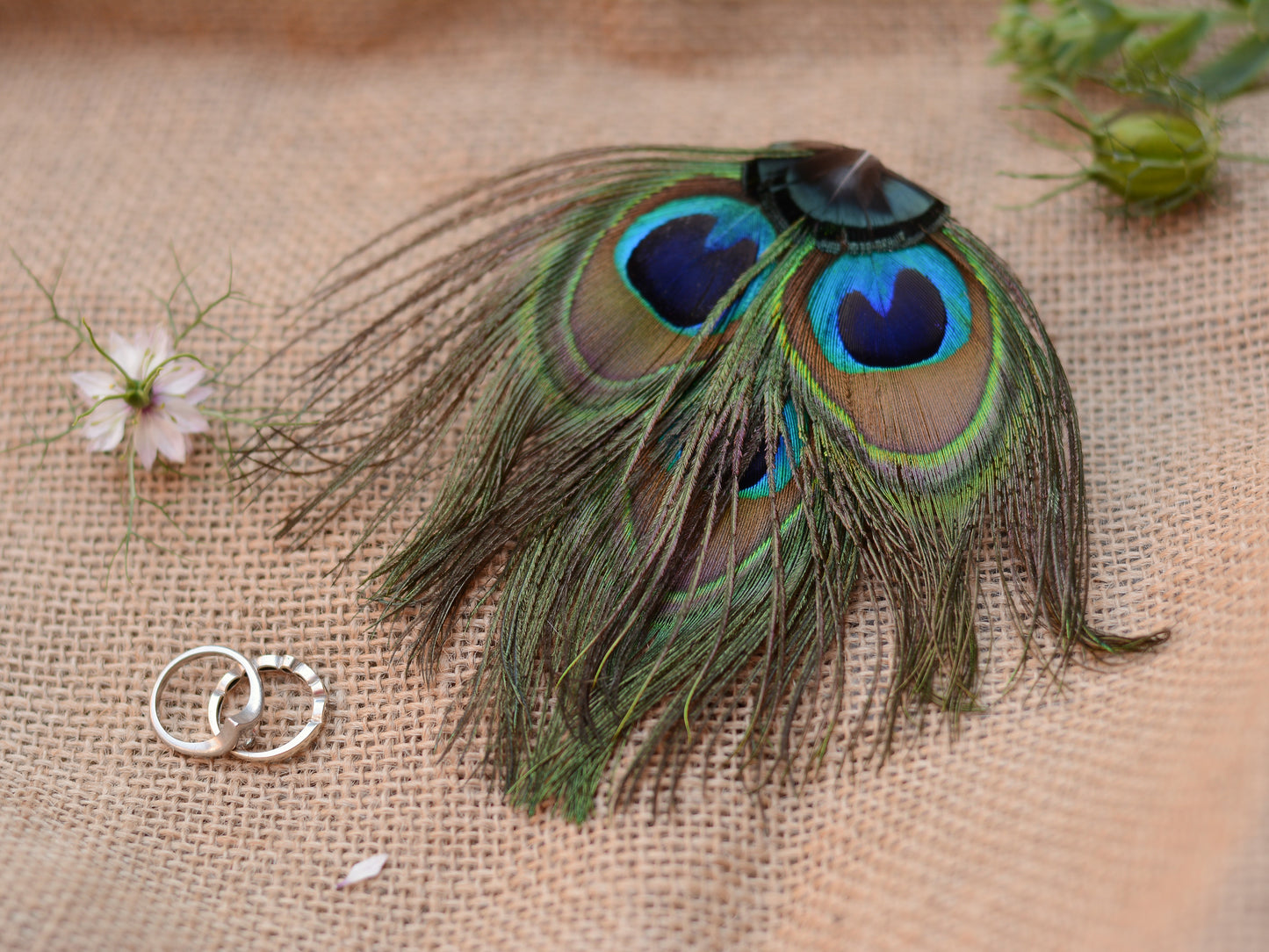Peacock Eye Trio Feather Hair Clip