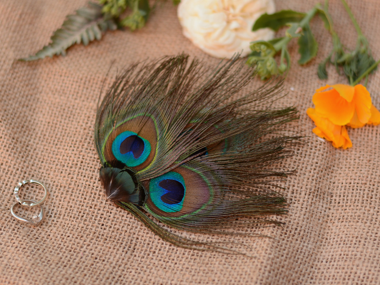 Peacock Eye Trio Feather Hair Clip
