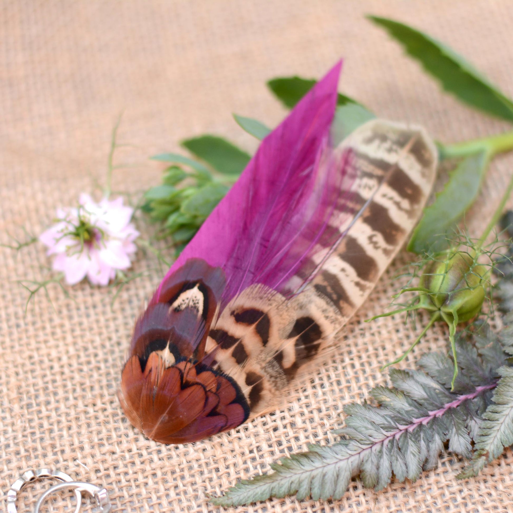 A pheasant feather hair clip fascinators with vibrant purple and brown patterns on laying across greenery