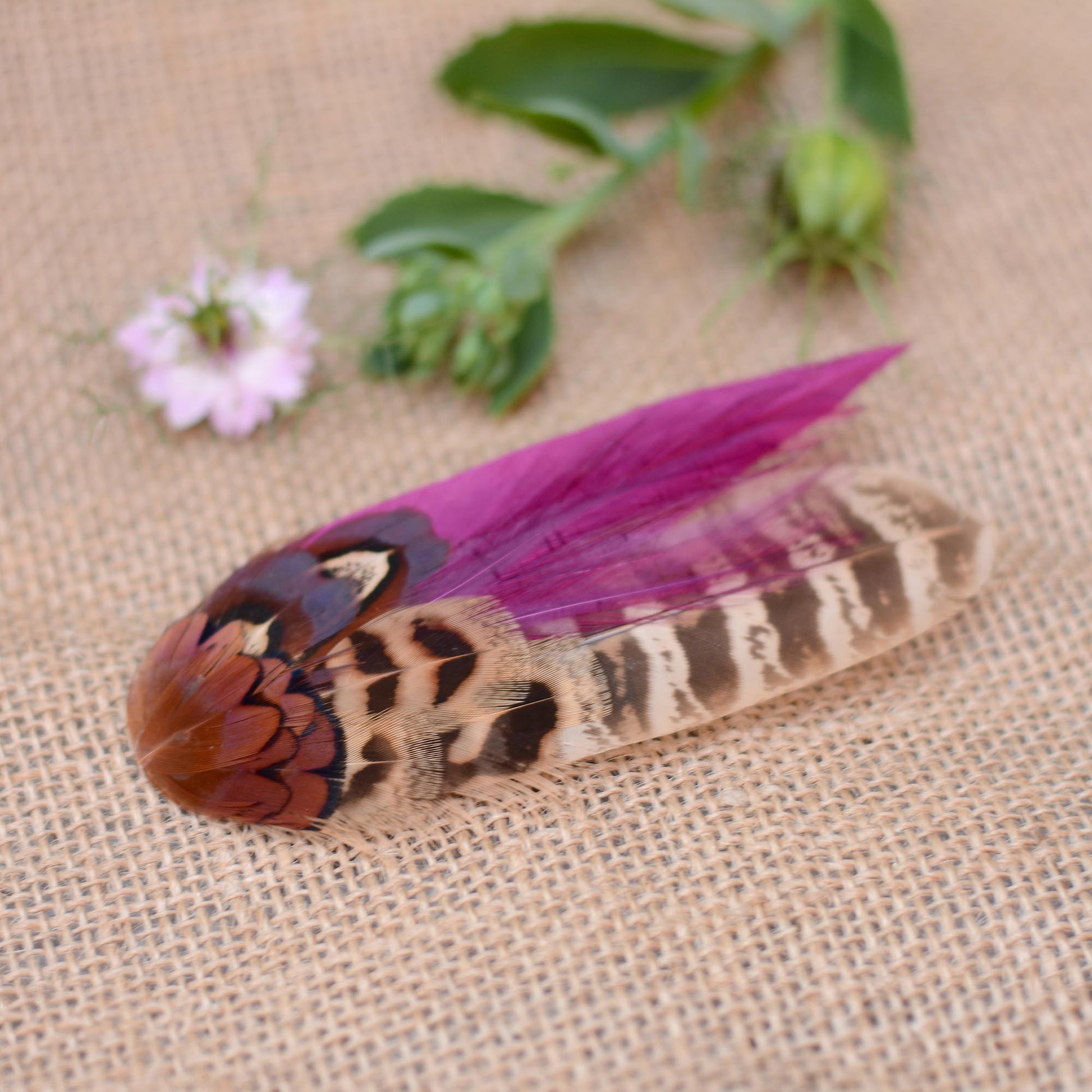 A pheasant feather hair clip fascinators with vibrant purple and brown patterns laying on a burlap cloth with  greenery