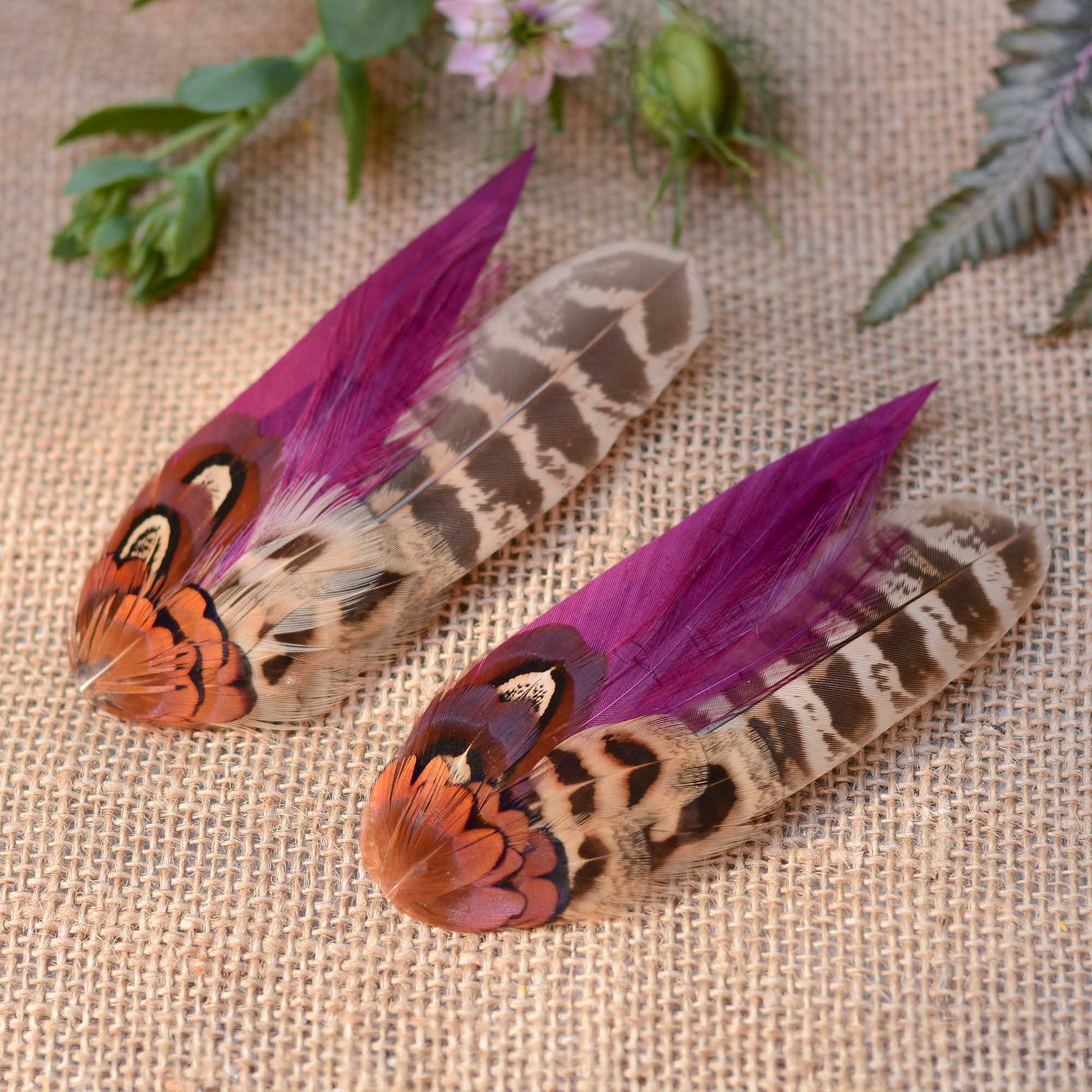 Two pheasant feather hair clip fascinators with vibrant purple and brown patterns on a textured fabric background .The feathers arecapturing the sunset light. and reflecting it with a beuatiful glow.