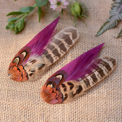 Two pheasant feather hair clip fascinators with vibrant purple and brown patterns on a textured fabric background .The feathers arecapturing the sunset light. and reflecting it with a beuatiful glow.