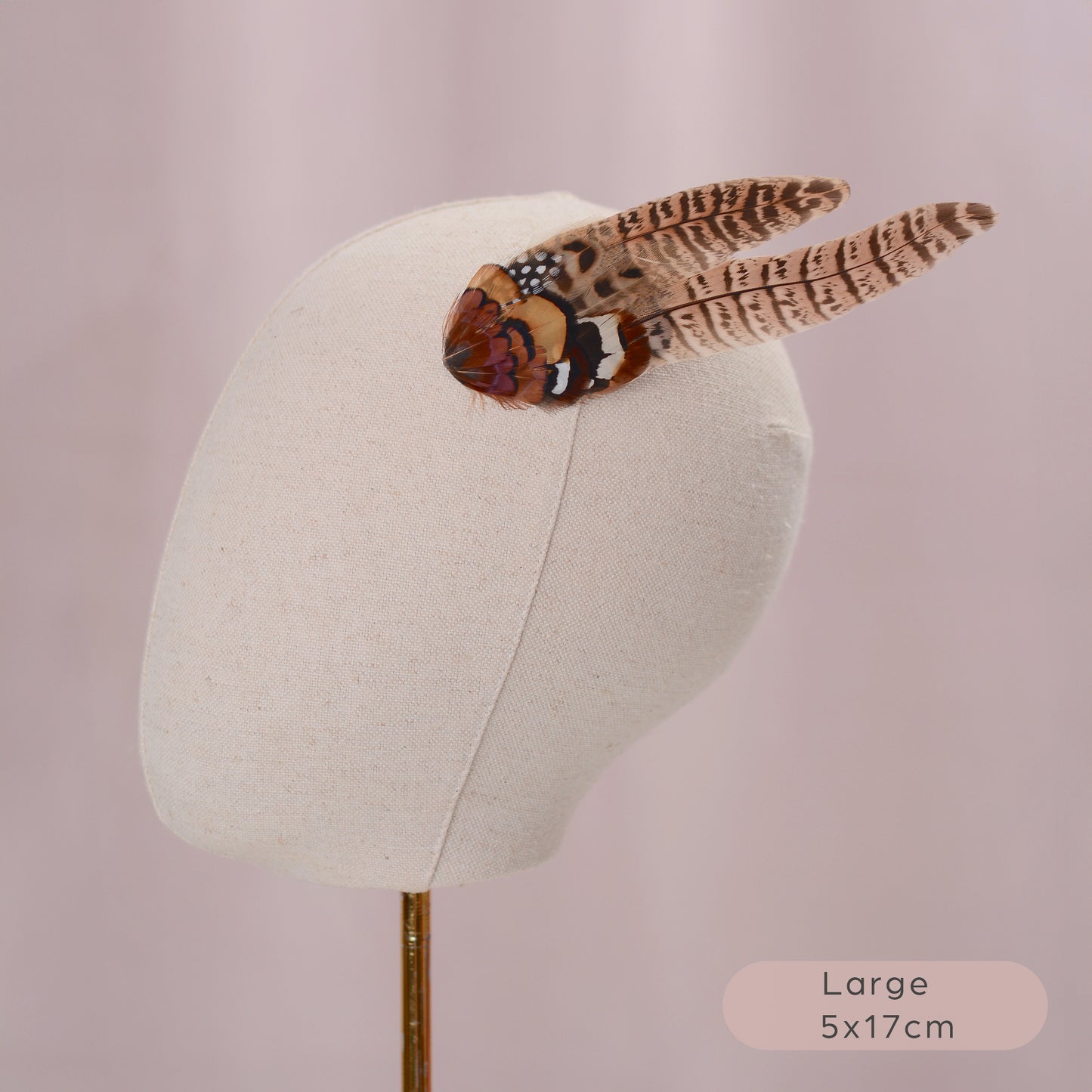 Natural Pheasant Feather Hair Clips / Fascinator