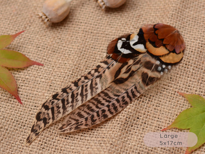 Natural Pheasant Feather Hair Clips / Fascinator