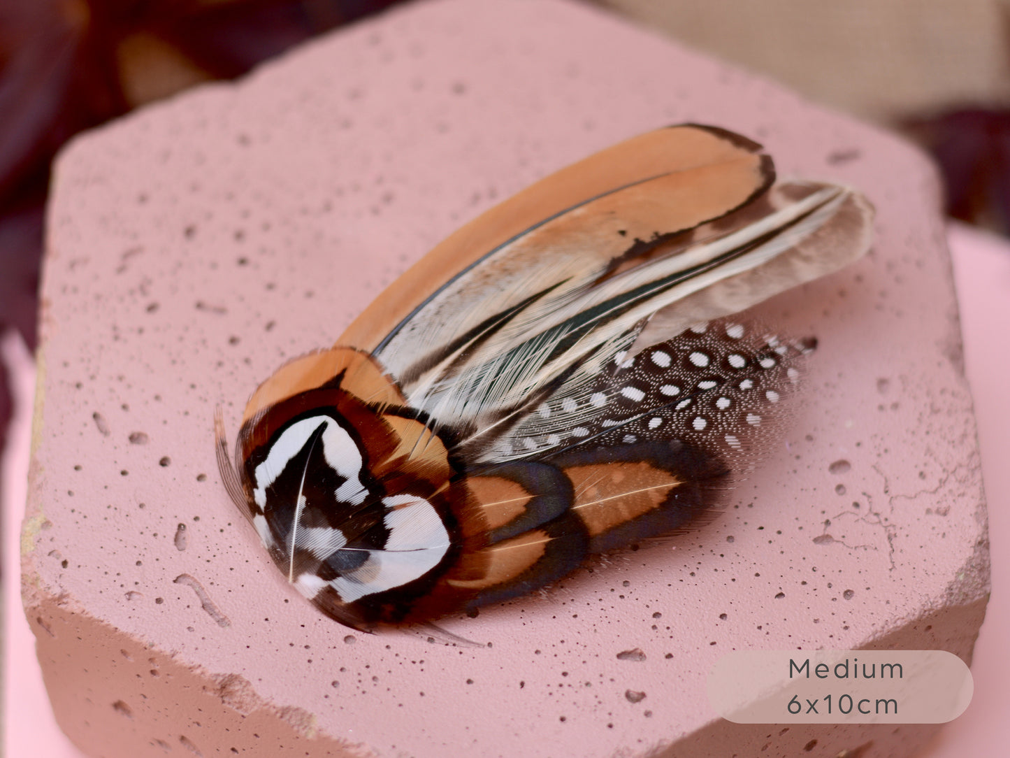 Natural Pheasant Feather Hair Clips / Fascinator