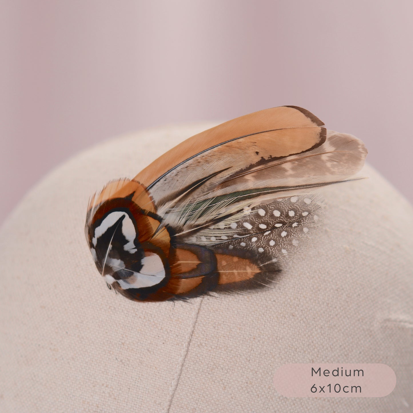 Natural Pheasant Feather Hair Clips / Fascinator
