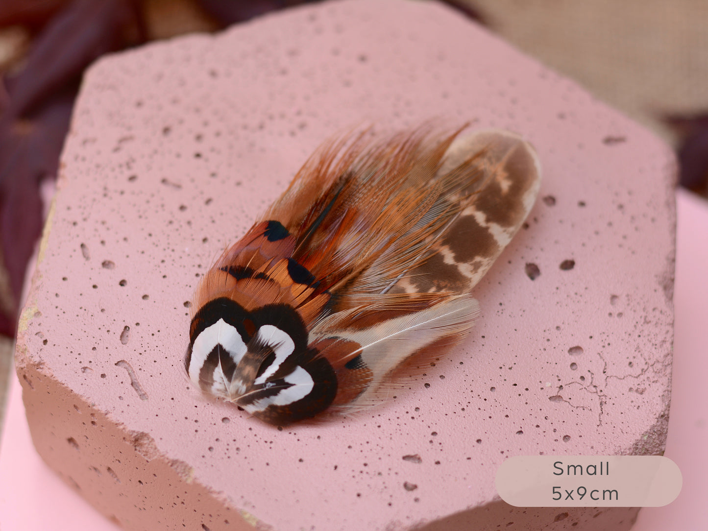 Natural Pheasant Feather Hair Clips / Fascinator