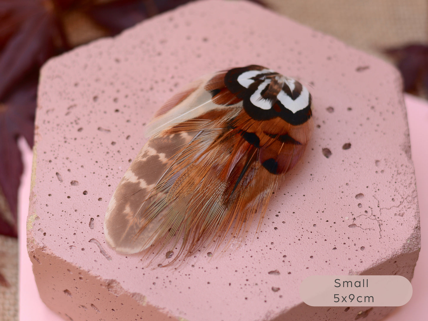 Natural Pheasant Feather Hair Clips / Fascinator
