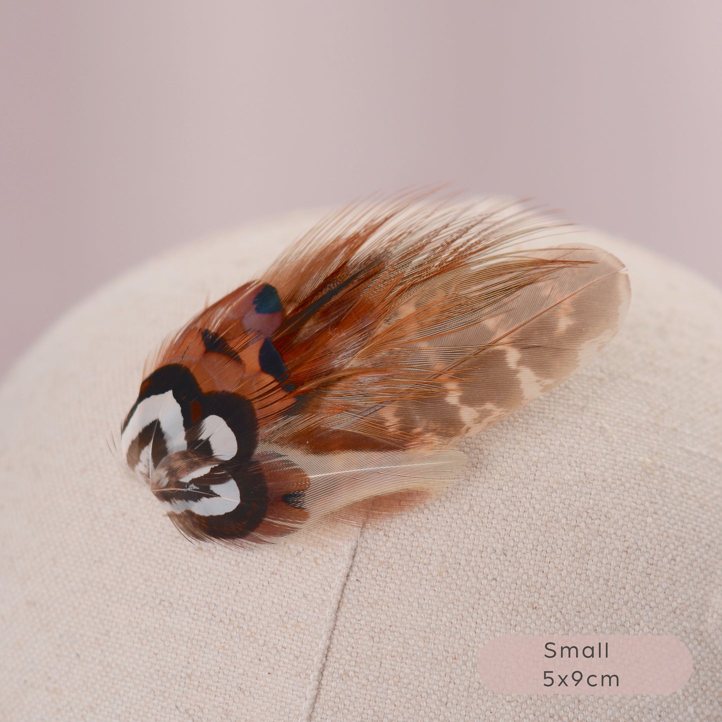 Natural Pheasant Feather Hair Clips / Fascinator