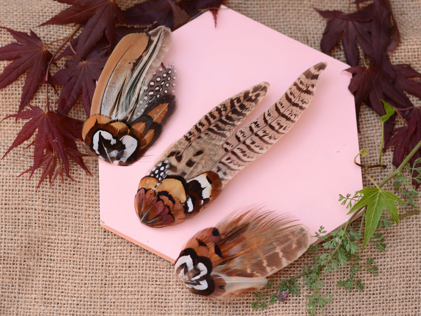 Natural Pheasant Feather Hair Clips / Fascinator