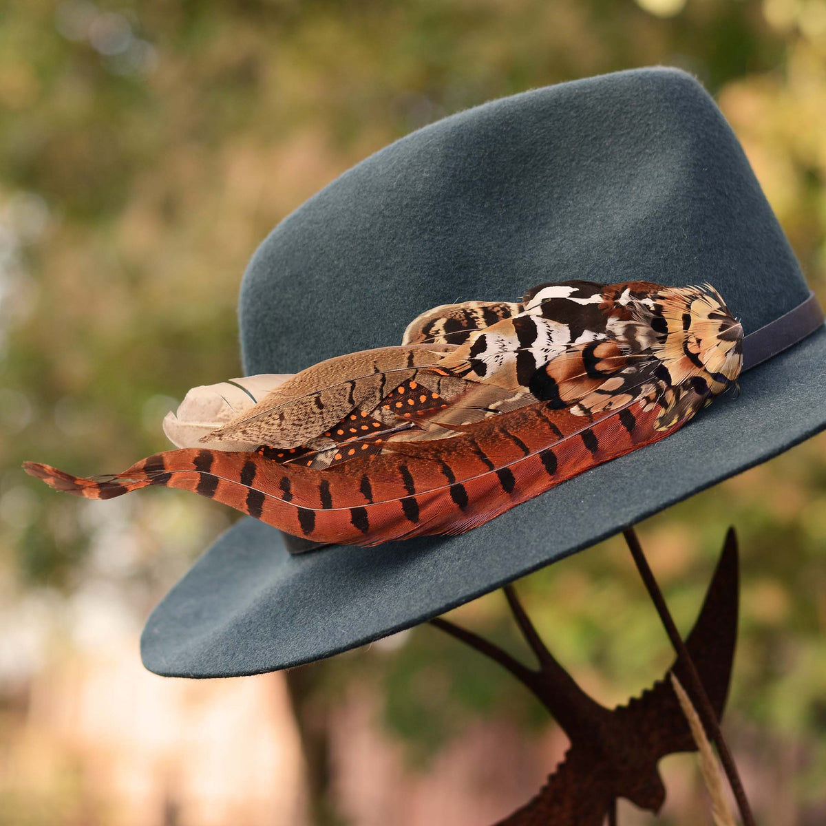 A dark teal felt hat with a black band, decorated with a large pheasant feather hat pin in brown, orange, black, and cream, photographed outdoors against a blurred green and gold background.