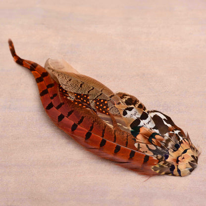 A decorative large feather hat ornament made from multiple layered feathers, including a prominent rust-orange feather with black bands, a brown spotted feather, and a white-and-black patterned feather,s displayed on a neutral beige background.