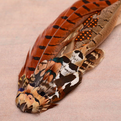 A close up of a decorative feather hat pin with a warm burnt orange and rust colour palette and black tiger-like stripes, layered with multicoloured patterned feathers in shades of brown, copper, beige, black, and white, resting on a textured light pink surface.