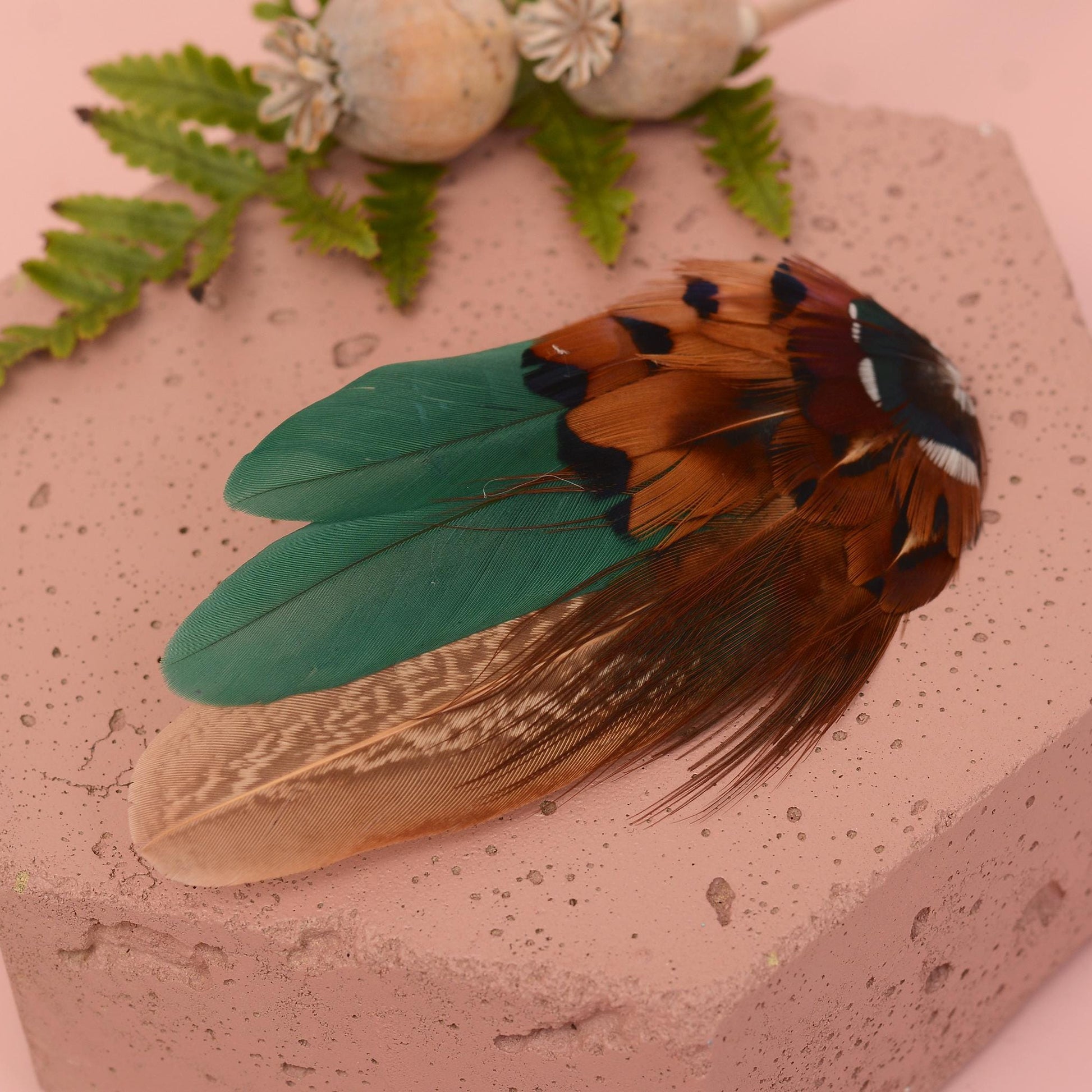 Bottle Green and Copper Pheasant Feather Hair Clip | Feather Fascinator | Bridal | Bridesmaid Hair Clip | Wedding Fascinator