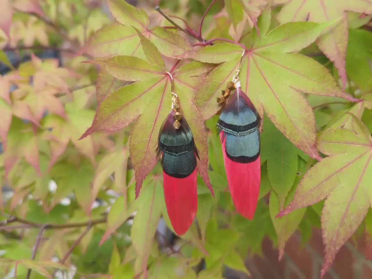 Red, Green and Gold Feather Earrings | Festival Earrings | Feather Jewellery | Festival Jewellery | Drop Earrings