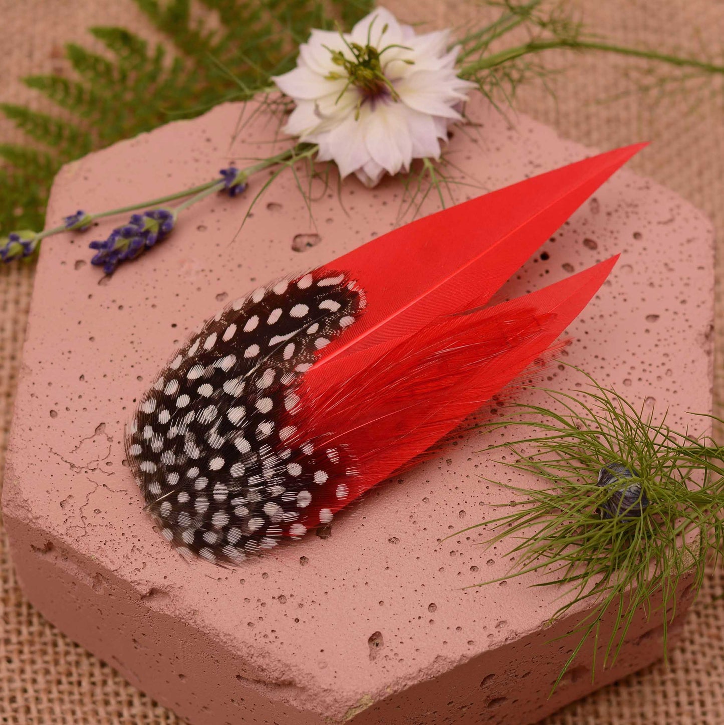 A decorative feather  hair ornament with black and white polka dot feathers, on pointed red feathers, displayed on a pink stone with flowers and greenery.