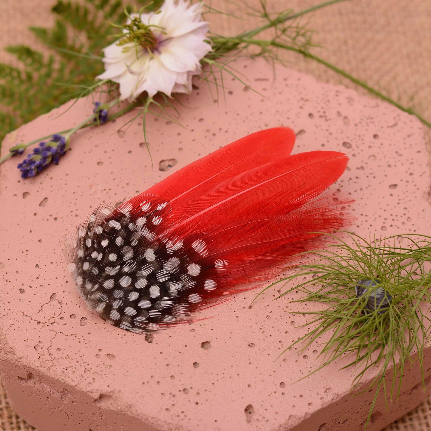 A small decorative feather hair ornament with a black and white polka dot and bright red feathers, arranged on a pink stone slab with flowers and greenery.