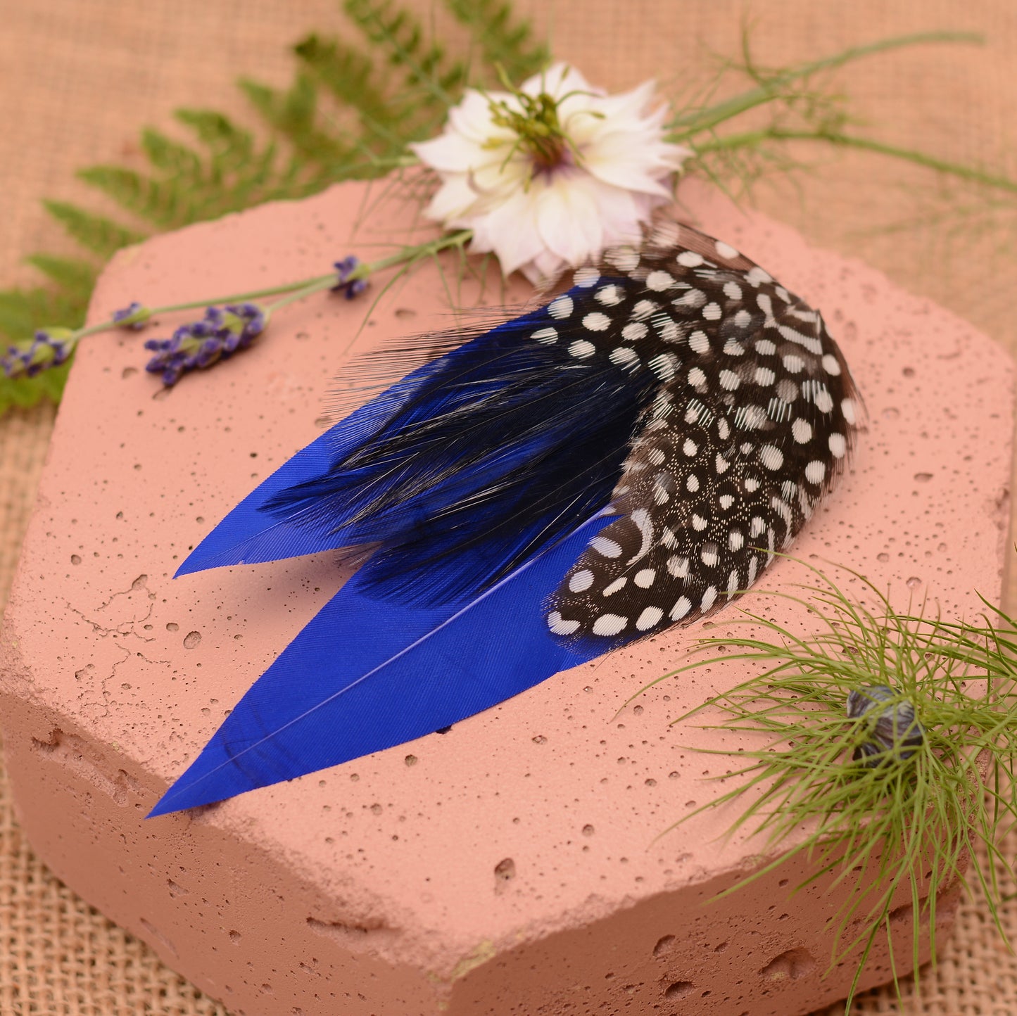 Blue feather hair clip with black and white polka dot design on a pink stone surface with flowers and plants.