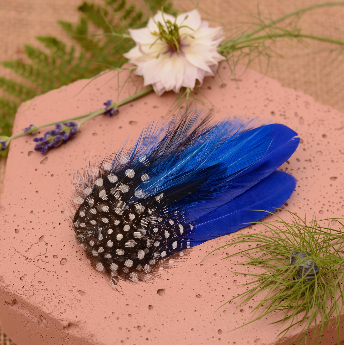 Blue feather hair clip with black and white polka dot design on a pink stone surface with flowers and plants.