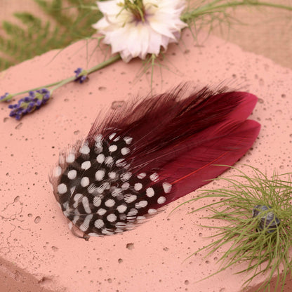 Small feather hair accessory clip in burgundy and polka dot feathers. Perfect for accessorising a burgundy outfit or burgundy themed wedding.