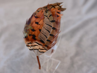 Pheasant Feather Fascinator Headband No.017