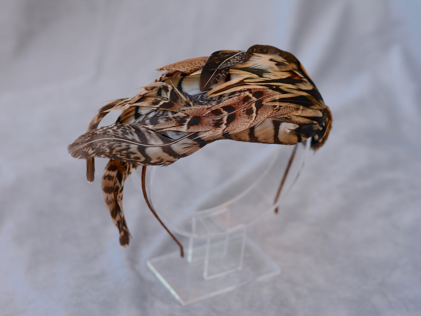 Pheasant Feather Headpiece No.019 - Feather Fascinator