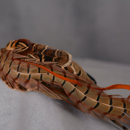 Pheasant Feather Headband No.022