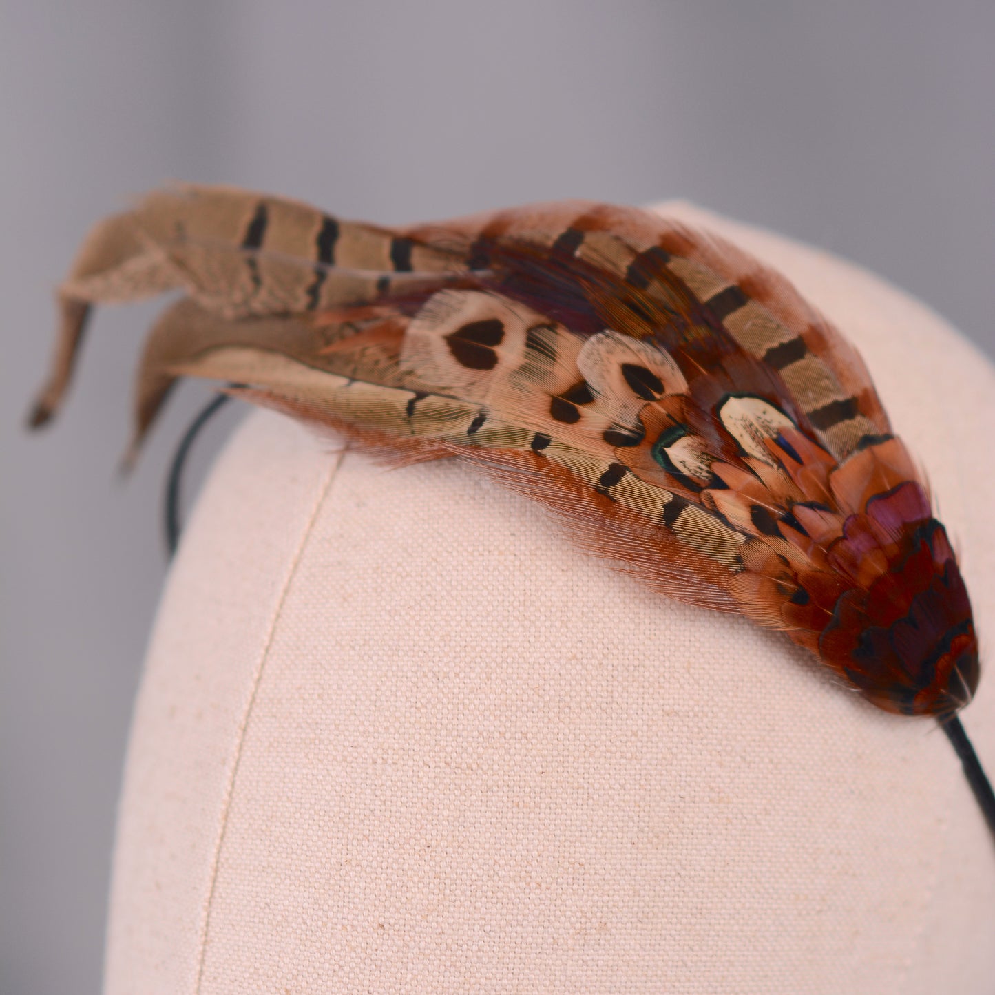 Pheasant Feather Headband No.024