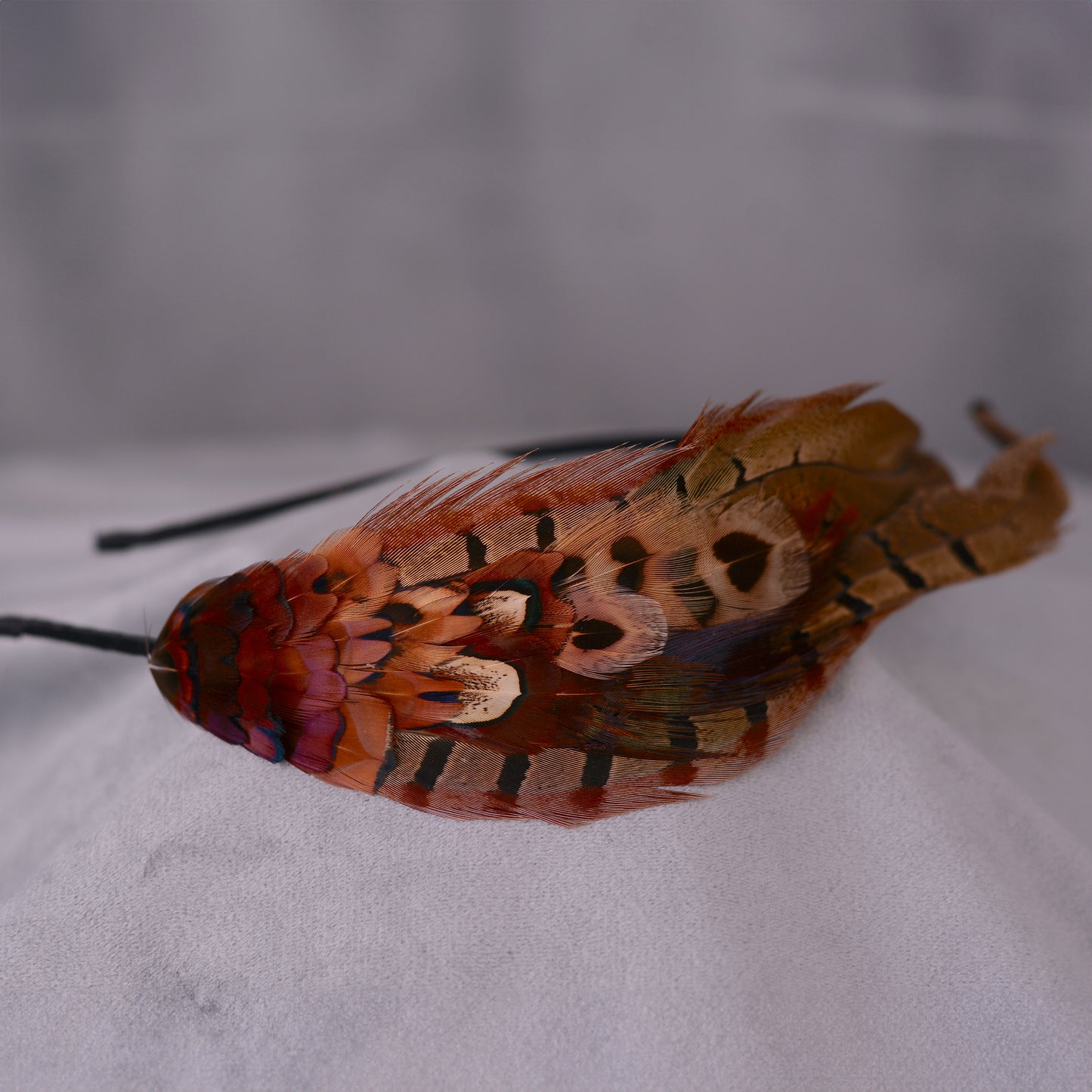 Pheasant Feather Headband No.024