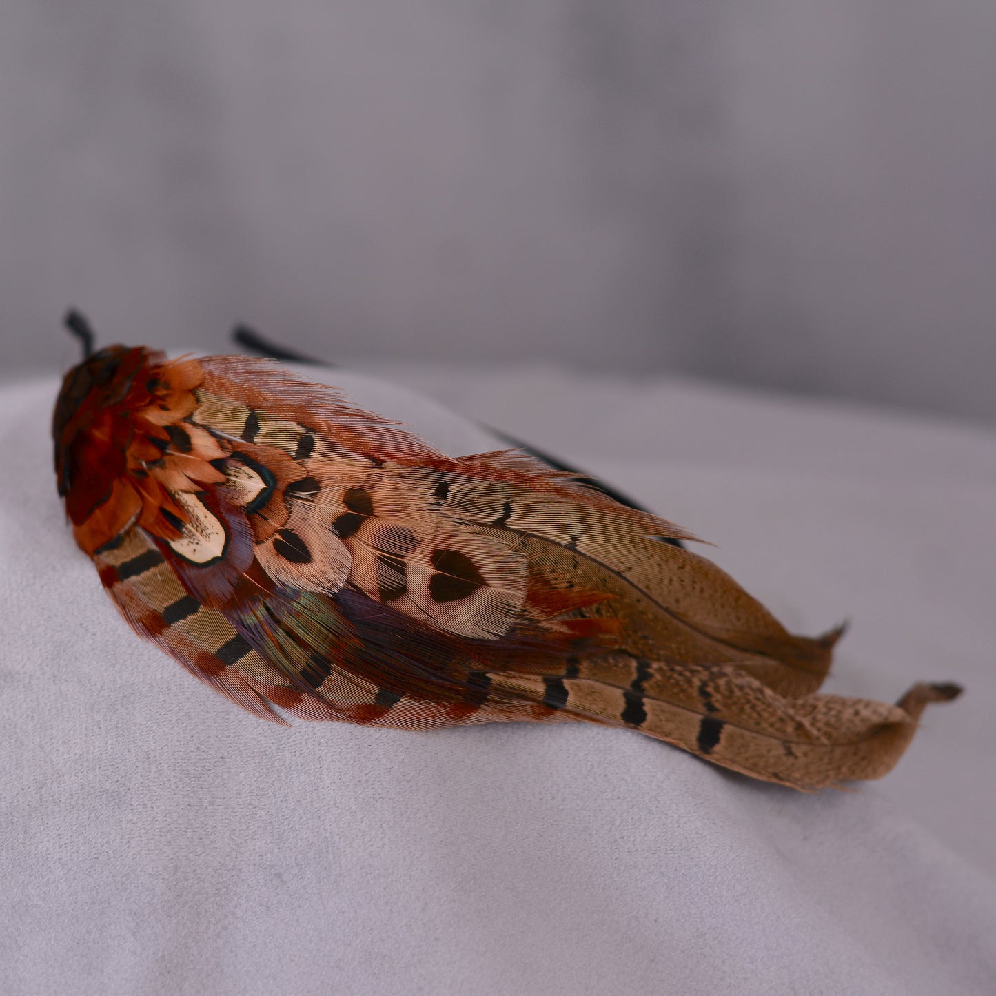 Pheasant Feather Headband No.024
