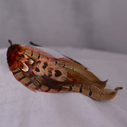 Pheasant Feather Headband No.024