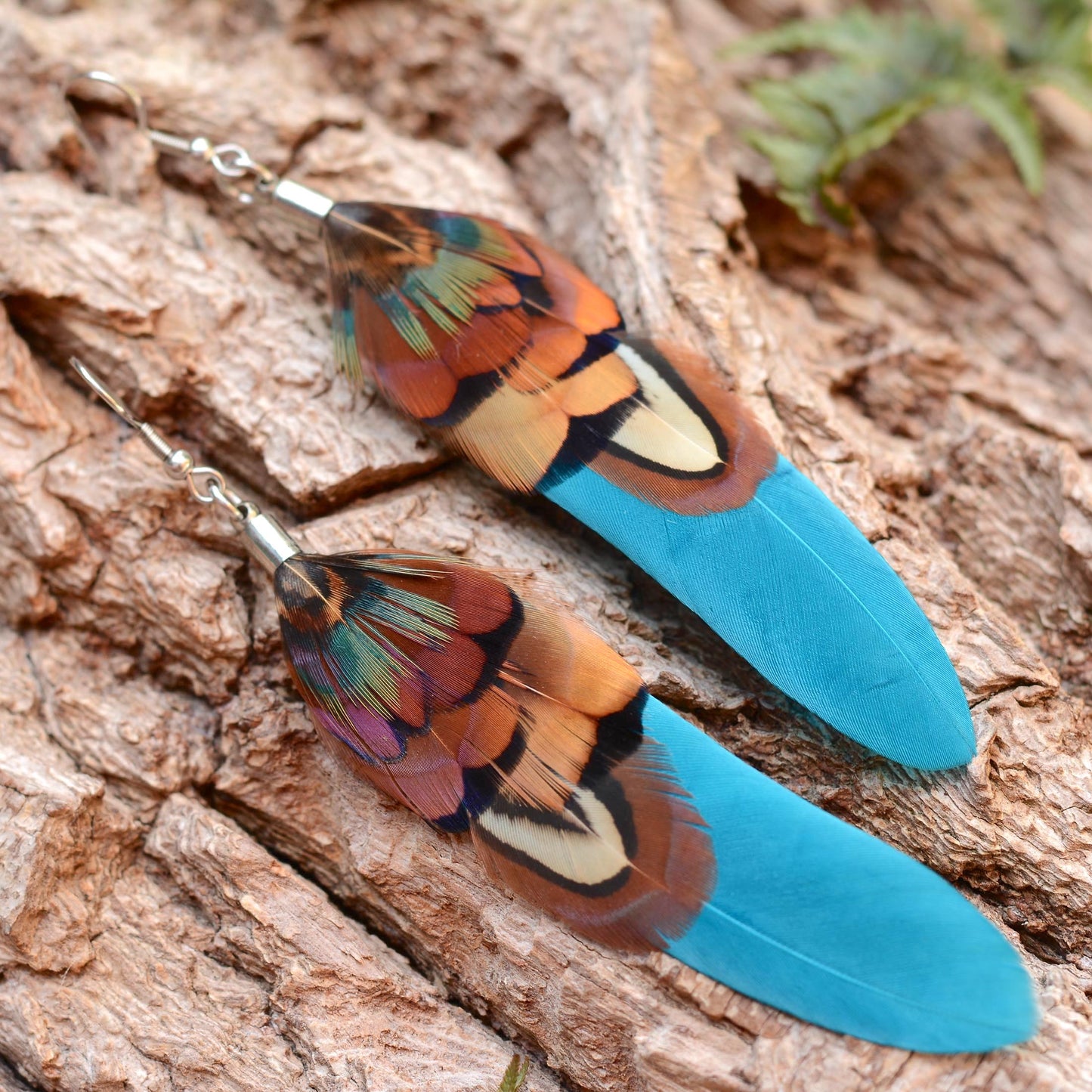 Long feather earrings in a vibrant teal turquoise, layered with real male pheasant feathers in brown, copper and green The earrings are lying on a natural bark background