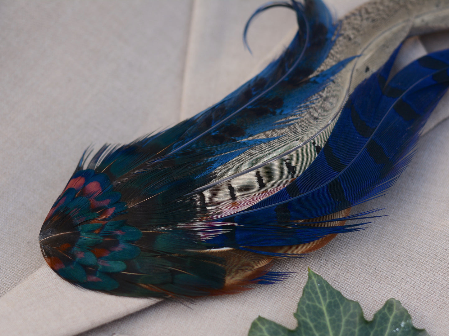 XL Navy Blue Pheasant Feather Hat Pin No.215