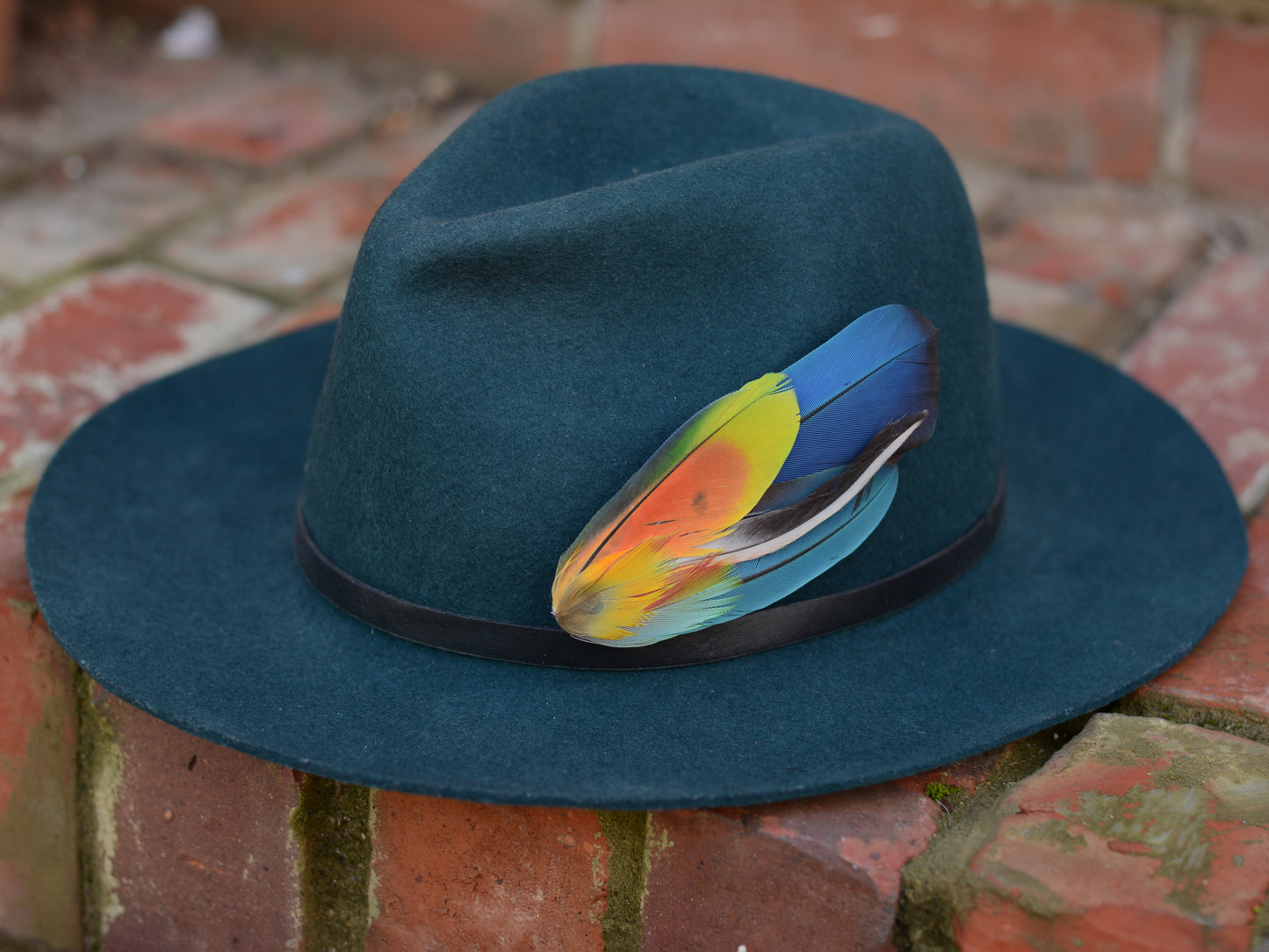 Tropical Parrot Feather Lapel Pin No.320