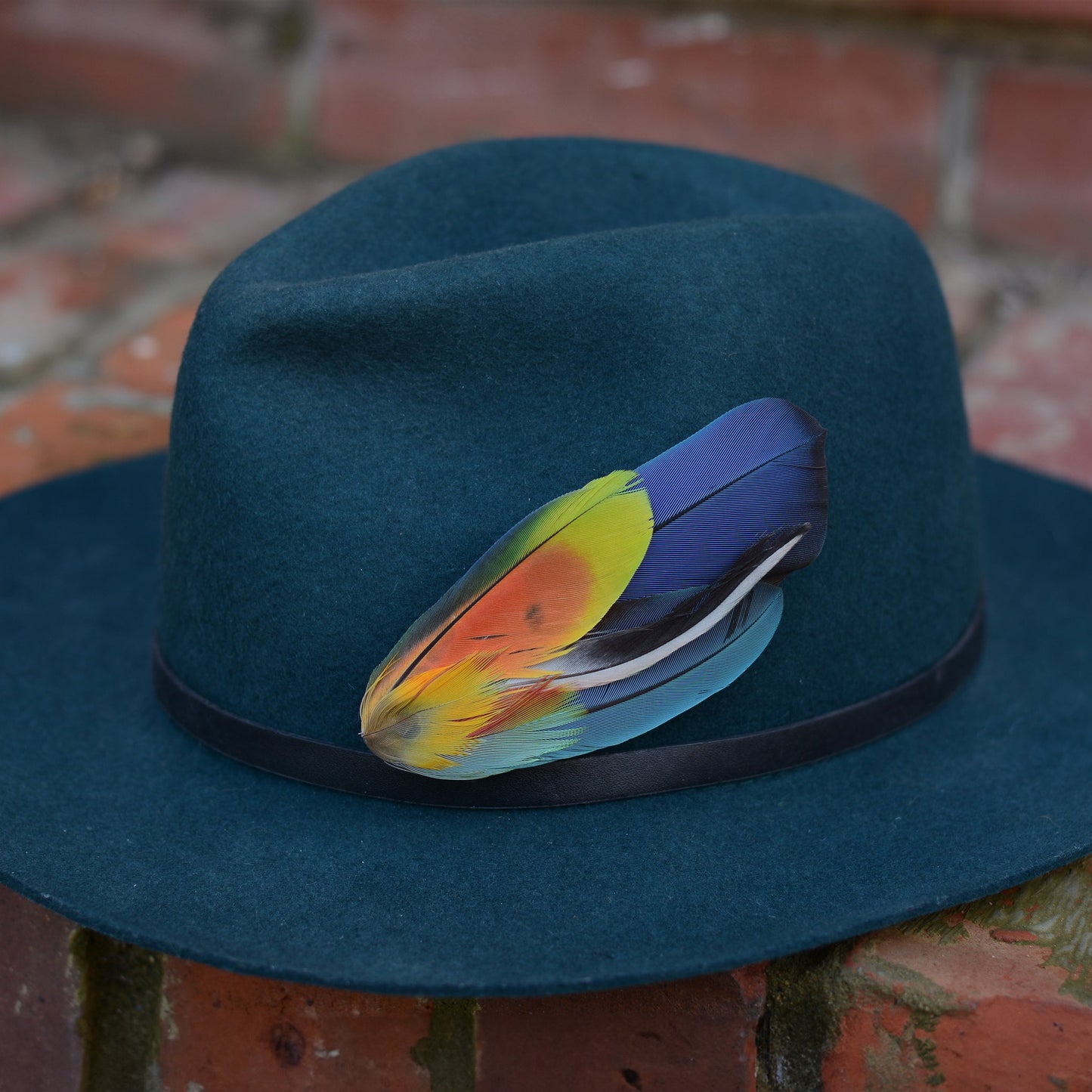 Tropical Parrot Feather Lapel Pin No.320