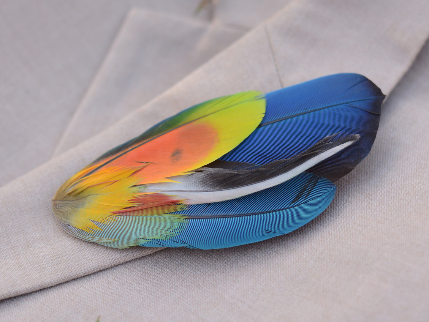 Tropical Parrot Feather Lapel Pin No.320
